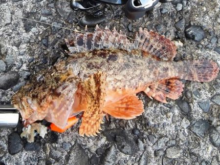 スーパーライトゲーム